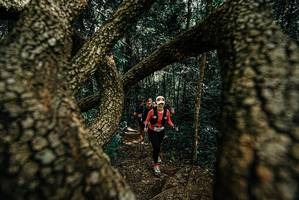 BIB: 
                            <button type="button" onclick="openModal(25702330)" class="btn btn-primary btn-sm float-right btn-popup" data-toggle="modal" data-target=".modal-high-quality">
                        <i class="fas fa-shopping-cart"></i> Add to Cart
                    </button>
                                            <button type="button" onclick="isThisMe(25702330, true)" class="btn btn-success btn-sm float-right btn-popup btn-isme hidden" data-toggle="tooltip" data-placement="bottom" title="นี่คือรูปของคุณใช่ไหม คลิกที่นี่เพื่อเอาเข้าอัลบั้ม">
                        <i class="fas fa-plus"></i> Add to album
                    </button>
                    <button type="button" onclick="isThisMe(25702330, false)" class="btn btn-warning btn-sm float-right btn-popup btn-isnotme hidden">
                        <i class="fas fa-ban"></i> Remove from album
                    </button>